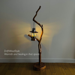芸術的に枝がうねる流木スタンド ランタンやエアプラントを飾れる置物 北欧 照明 N114 11枚目の画像