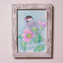 文鳥 絵画 のおすすめ人気通販｜Creema(クリーマ) ハンドメイド
