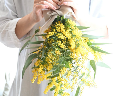フレッシュミモザとユーカリのスワッグ 40センチ スワッグ Secret