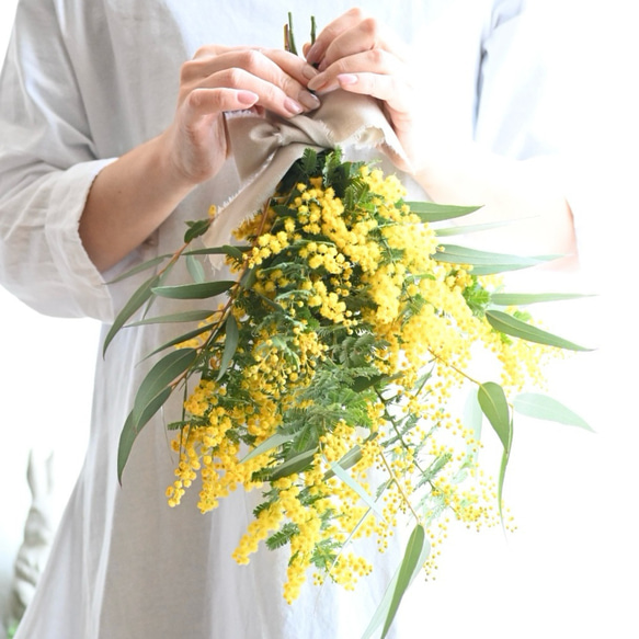 フレッシュミモザとユーカリのスワッグ 40センチ スワッグ Secret