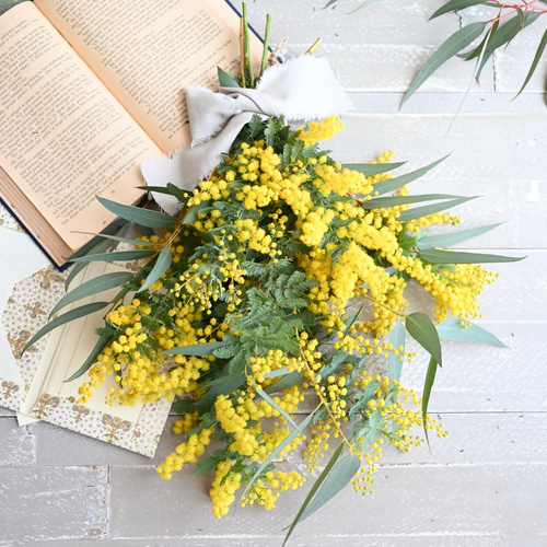 フレッシュミモザとユーカリのスワッグ 40センチ スワッグ Secret