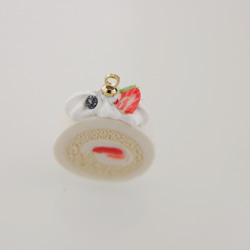  第8張的照片