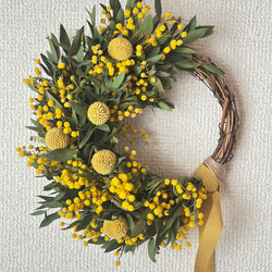 クラスペディア のおすすめ人気通販 検索結果｜Creema(クリーマ