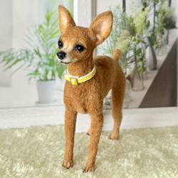 展示品【あま〜い♡】 柴犬 豆柴【フォトフレーム内寸8.5cm】羊毛