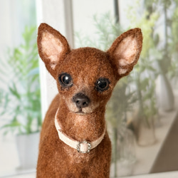 オーダー 羊毛フェルト のおすすめ人気通販｜Creema(クリーマ