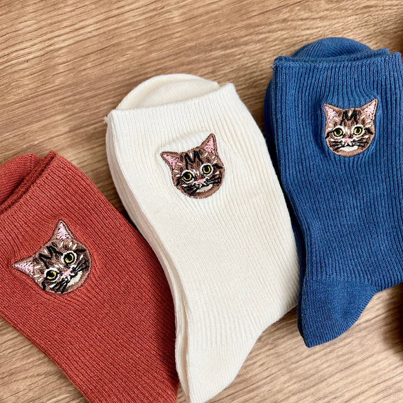 毛並まで感じるブリティッシュショートヘア猫さん刺繍の靴下 1枚目の画像