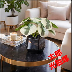 光触媒 人工観葉植物 ウォールグリーン フェイクグリーン フラワー