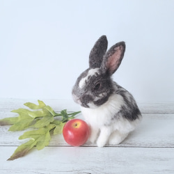 香箱座りのうさぎさん(グレー) 羊毛フェルト haruma 通販 13067427