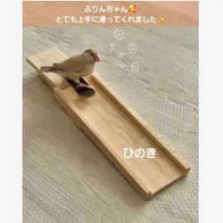 gc25 ミニアスレチック 止まり木 バードトイ フォージングトイ 文鳥