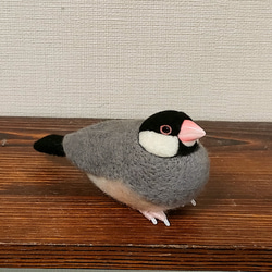 オーダー受け付け 文鳥 羊毛フェルト 羊毛フェルト クリぱん 通販