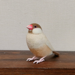 文鳥 羊毛フェルト のおすすめ人気通販｜Creema(クリーマ