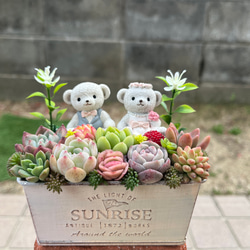 ☆送料無料☆♡そのまま飾れる♡箱庭風多肉植物寄せ植え