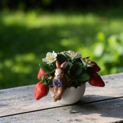 菖蒲（あやめ）ミニ鉢植え A503 プリザーブドフラワー Old-Fantasy