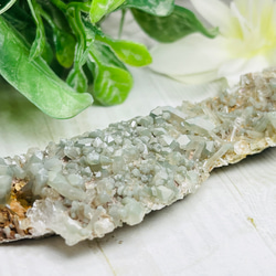 天使の石໒꒱✨ セレスタイト 天青石 クラスター 原石 ラフストーン