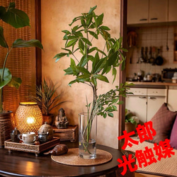 光触媒 人工観葉植物 ウォールグリーン フェイクグリーン ウッド