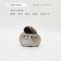 Gattino 天然石の猫の置物 ボルケーノアゲート 火山瑪瑙 ボルカノ