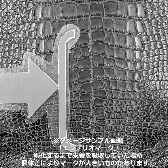ワニ革  クレイ仕上げ  ウォルナット「長財布向け」サイズ No.CM0208 13枚目の画像
