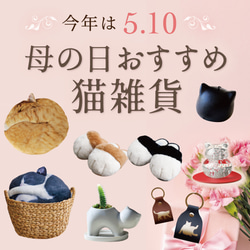 【TVで紹介✨】フワフワむぎゅっと『ねこの手スリッパ』2匹以上で送料無料♪母の日ギフト2026 3枚目の画像