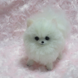 羊毛フェルト 犬 ポメラニアン 白 ホワイト ハンドメイド 置物 羊毛フェルト 犬 ポメラニアン 白 ホワイト ウェルカムドール