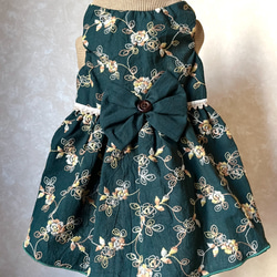 犬服 刺繍付き播州織コットンワンピース（落ち着いた水色） ペット服