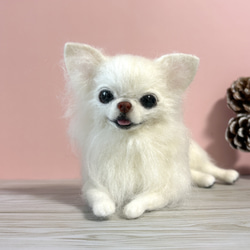 羊毛フェルト チワワ のおすすめ人気通販 検索結果｜Creema(クリーマ