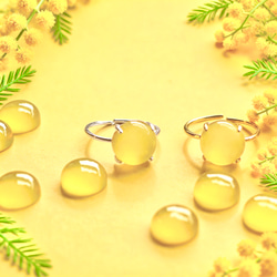 春季新品【低過敏性】含羞草黃玉髓銀/醫用不銹鋼（戒指） 第1張的照片