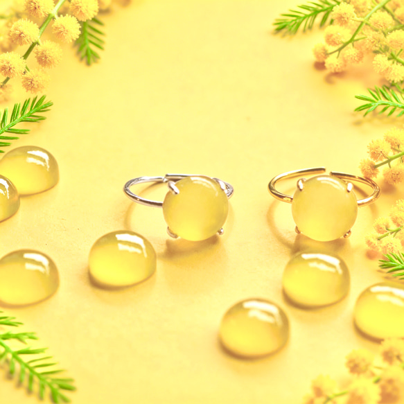 春季新品【低過敏性】含羞草黃玉髓銀/醫用不銹鋼（戒指） 第1張的照片