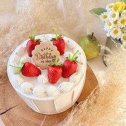 イチゴのクレイケーキ 2段飾り付き バースデー 誕生日 ウェディング