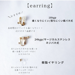 【365日企画】4/9誕生日カラー 『黄昏の小陽(ウォールフラワー）』ガラスアクセサリー 12枚目の画像