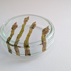 あすぱらシャーレ 1枚目の画像