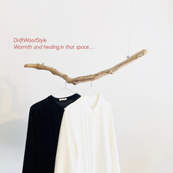 80ｃｍサイズのシンプルな流木のハンガーラック 衣装掛け ハンギング 吊り下げ N14 1枚目の画像