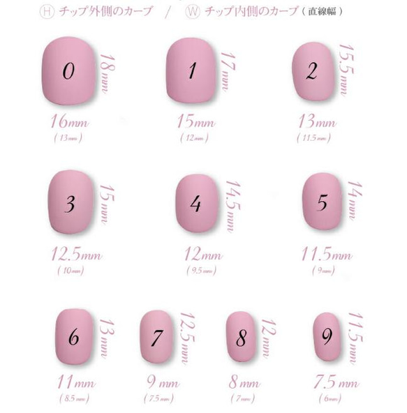  第4張的照片