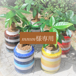カラーサンドアート♡観葉植物セット♡オリジナル♡名入れプレゼント