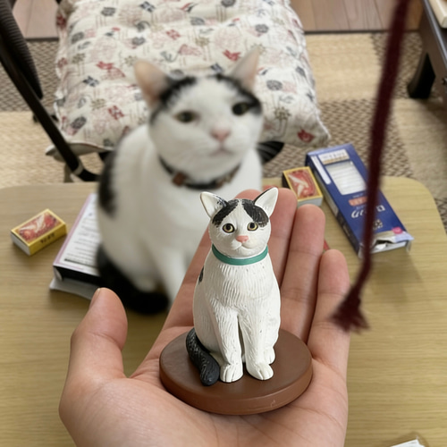 三毛猫 リアル粘土フィギュア オーダーメイド おうちの思い出 名前入れ