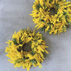 ☆Mサイズ☆ミモザ発送始まりました☆ミモザハンドメイド2026特別掲載