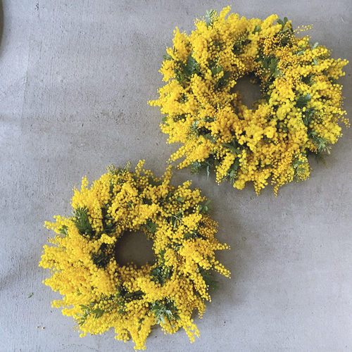 ☆Mサイズ☆ミモザ発送始まりました☆ミモザハンドメイド2026特別掲載