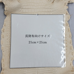 ワニ革 植物タンニン鞣し ナチュラル（タラ） No.C009551 9枚目の画像