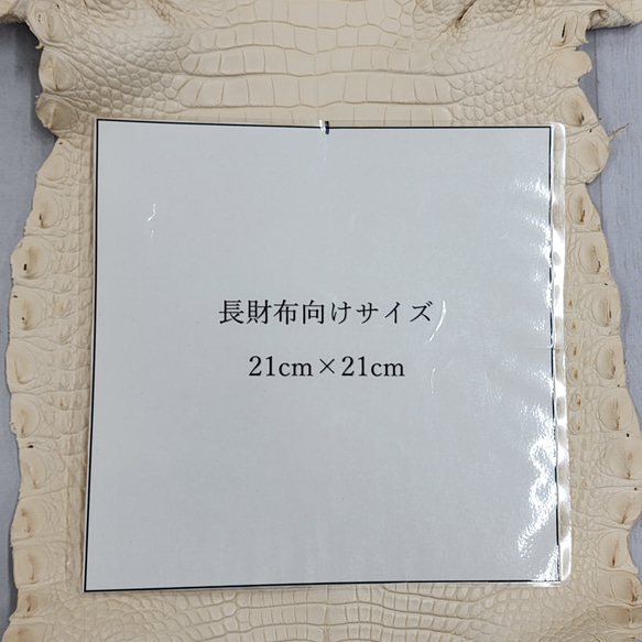 ワニ革 植物タンニン鞣し ナチュラル（タラ） No.C009551 9枚目の画像