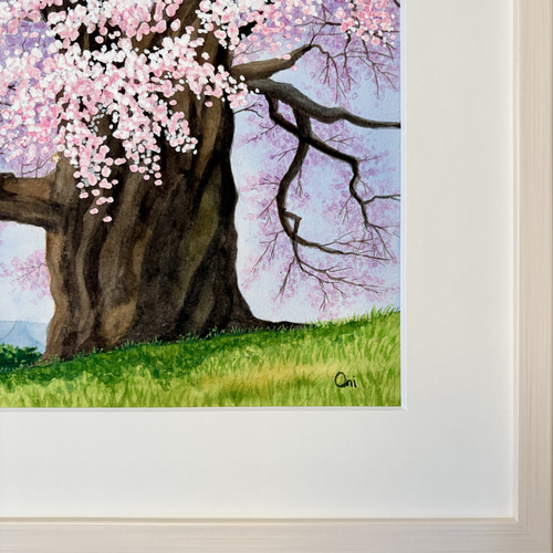 醍醐桜03」透明水彩画 原画 風景画 額縁付 F4サイズ 絵画 Oni