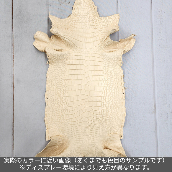 ワニ革 植物タンニン鞣し ナチュラル（タラ） No.C009555 3枚目の画像
