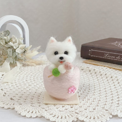 受注製作】お雛様 柴犬 ひな祭り セット 羊毛フェルト 羊毛フェルト