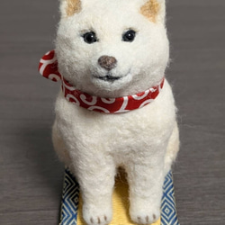 羊毛フェルト柴犬 のおすすめ人気通販 検索結果｜Creema(クリーマ