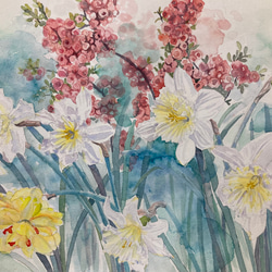 ブッタの修行の絵、水彩？ 水彩画 原画 ラッパ水仙とボケ「Ladies of spring」透明水彩 F6 絵画
