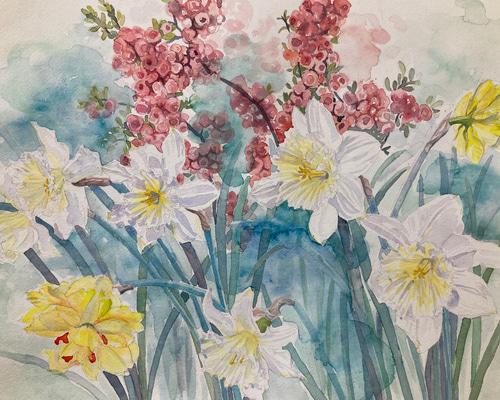 水彩画 原画 ラッパ水仙とボケ「Ladies of spring」透明水彩 F6 絵画