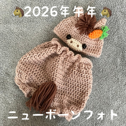 2026年午年♡馬の編みぐるみ♡干支に置物 あみぐるみ そのちゃん 通販