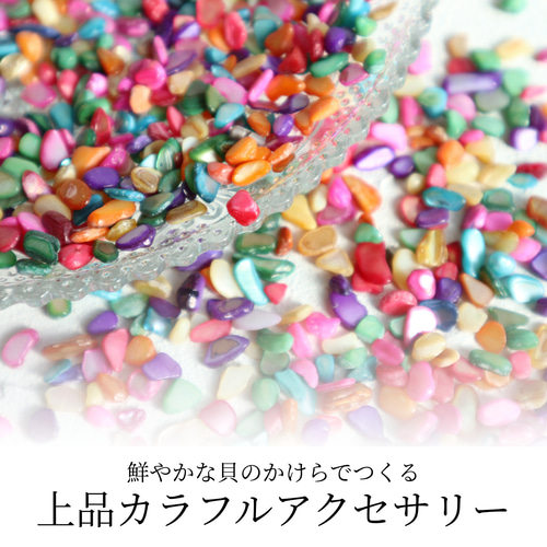 累計販売数500点突破】リング カラフル シェル 7色の貝で描くらせんの