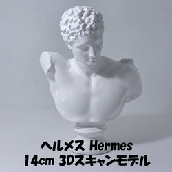 ミロのヴィーナス(高さ20cm) 石膏像 デッサン ホワイト インテリア