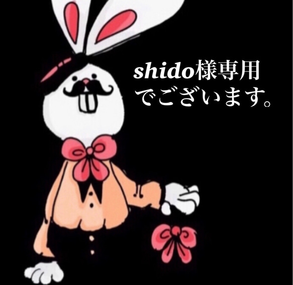 shido様専用 1枚目の画像