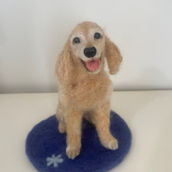 羊毛フェルト オーダー 犬 ペット イヌ 鳥 KIIKO 羊毛フェルト KIIKO