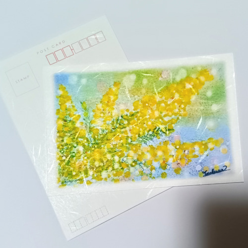 ミモザの和紙絵葉書2枚セット 春の花 パステル画＆色鉛筆画ポスト